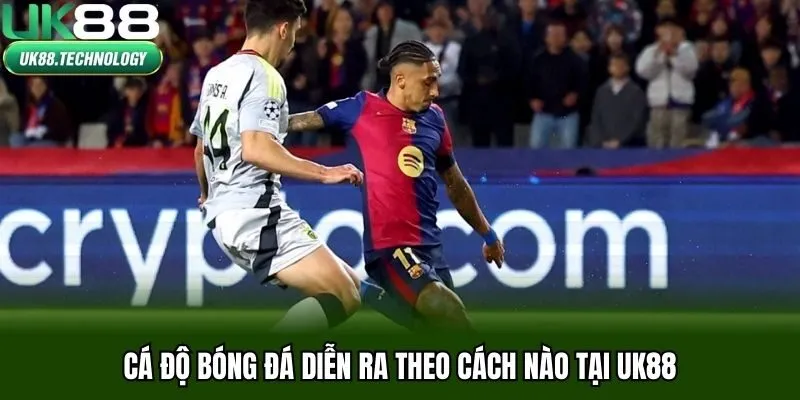 Cá độ bóng đá diễn ra theo cách nào tại UK88