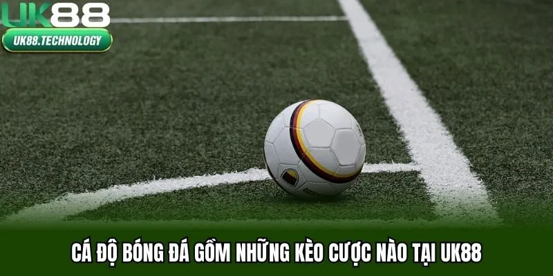 Cá độ bóng đá gồm những kèo cược nào tại UK88