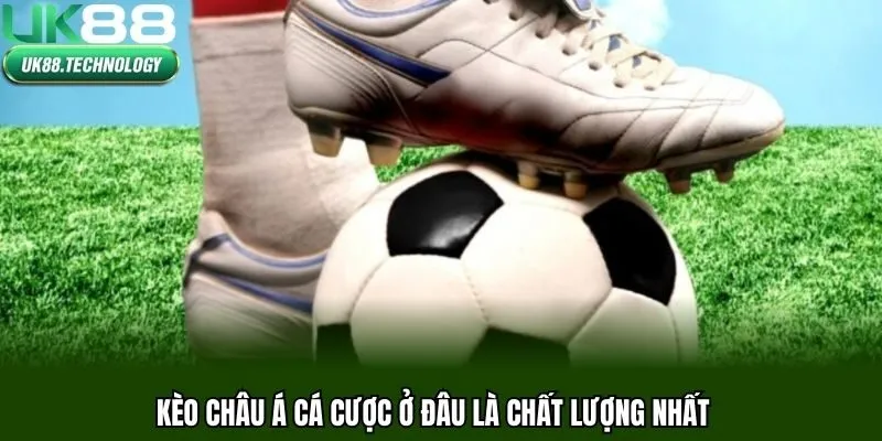 Kèo châu Á cá cược ở đâu là chất lượng nhất