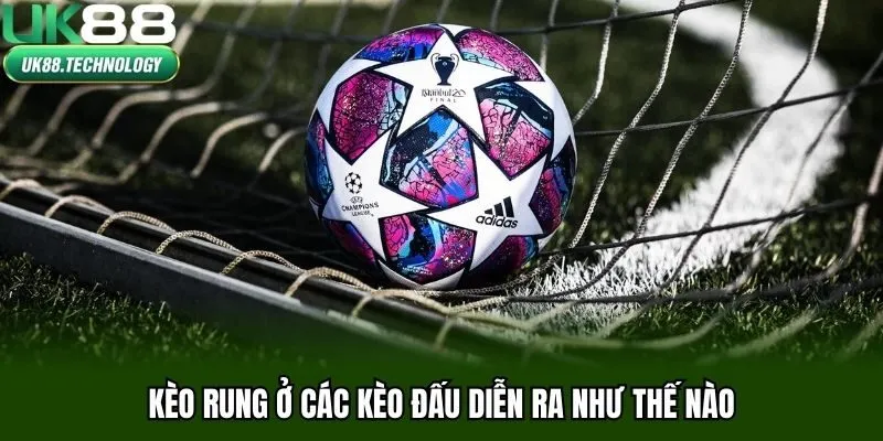 Kèo rung ở các kèo đấu diễn ra như thế nào
